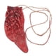 thumbnail image 2 of 3x 1 Pieza de Apoyo Vísceras con Cuerda Partes de Cuerpo Sangrienta de Látx Reutilizable Terrorífica Atmósfera 3 piezas, 2 of 8