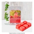 thumbnail image 3 of Cubos de Cera Hometrends Fresh Watermelon Lemonade Aroma 70 G, 3 of 4