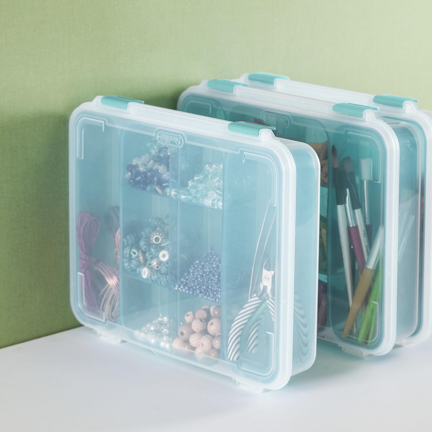 Sterilite Divided Case Storage Container