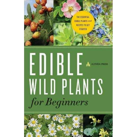 Plantes Sauvages Comestibles pour Débutants : l'Essentiel Plantes Comestibles et Recettes pour Commencer