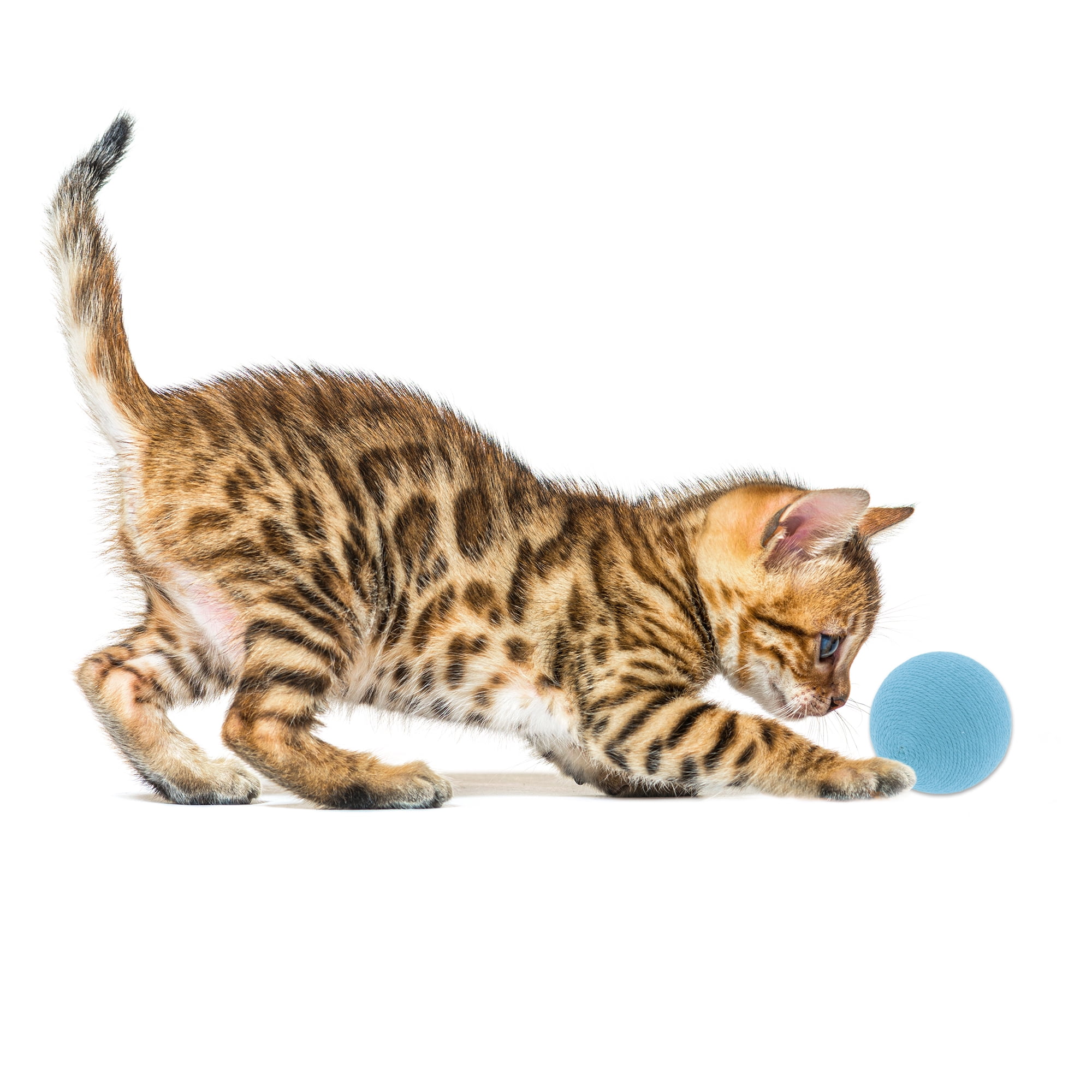 Unique Bargains Playing Ball with Bell for Cat Playtime Blue