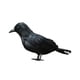 thumbnail image 3 of Adorno Decorativo de Halloween Macarena Cuervo para Fiesta, 3 of 8