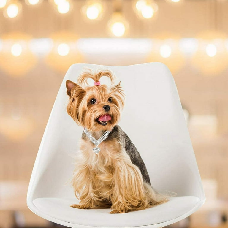 Rhinestone pet sale jewelry for dogs