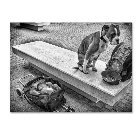 Trademark Fine Art 'Family Provider' Canvas Art by Adrian Popan