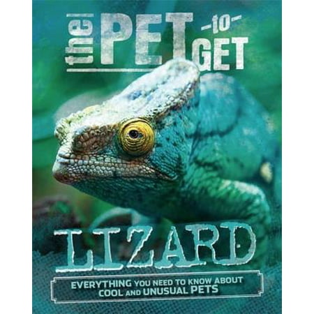 The Pet to Get: Lizard (The Best Lizard To Have As A Pet)