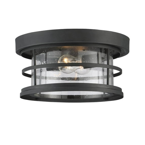 Barrett 2-Light Outdoor Ceiling Light in Black