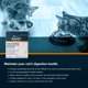 thumbnail image 4 of Suplemento para Animales Vet One Advita Polvo Probiótico para Gatos 30g, 4 of 6