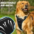 thumbnail image 3 of DMISOCHR No Pull Dog Harness and Leash Set Walking Breathable Mesh Large Dog Vest Harness Soft Padded, 3 of 5
