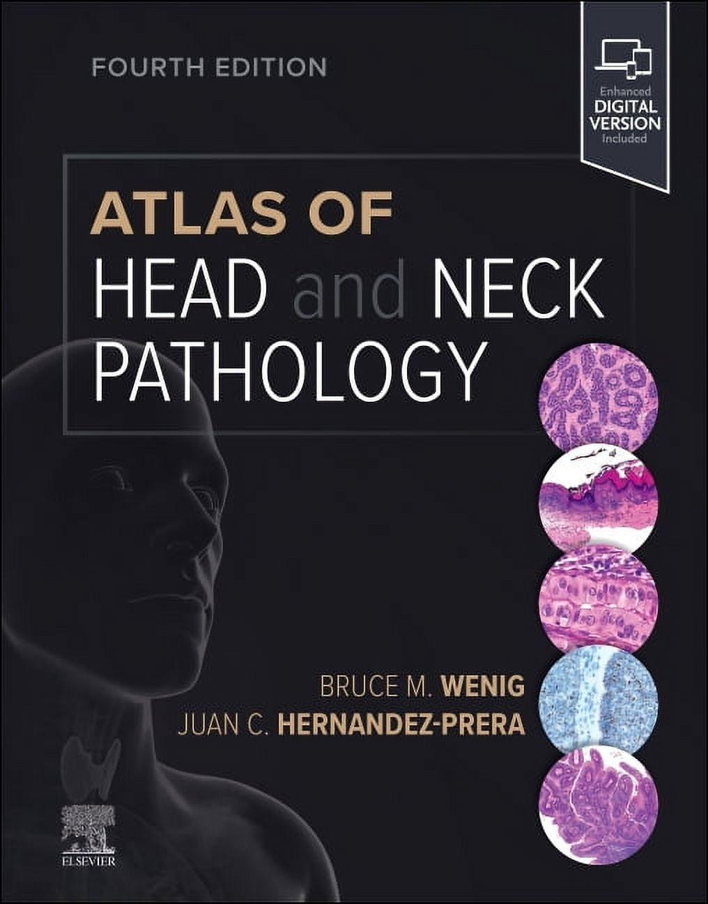 Atlas of Vascular Surgery and Endovascular Therapy: Anatomy