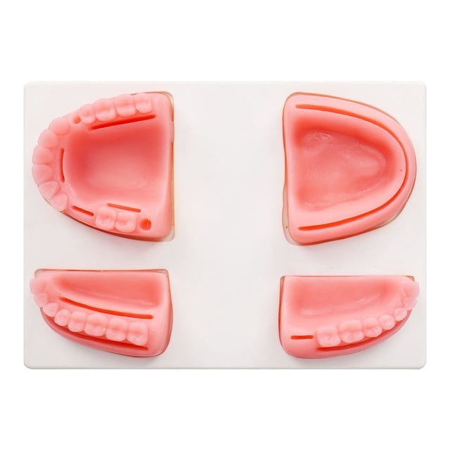Kit de entrenamiento de sutura oral modelo de silicona de paquete individual de kit de sutura dental para clínica ANGGREK Otros