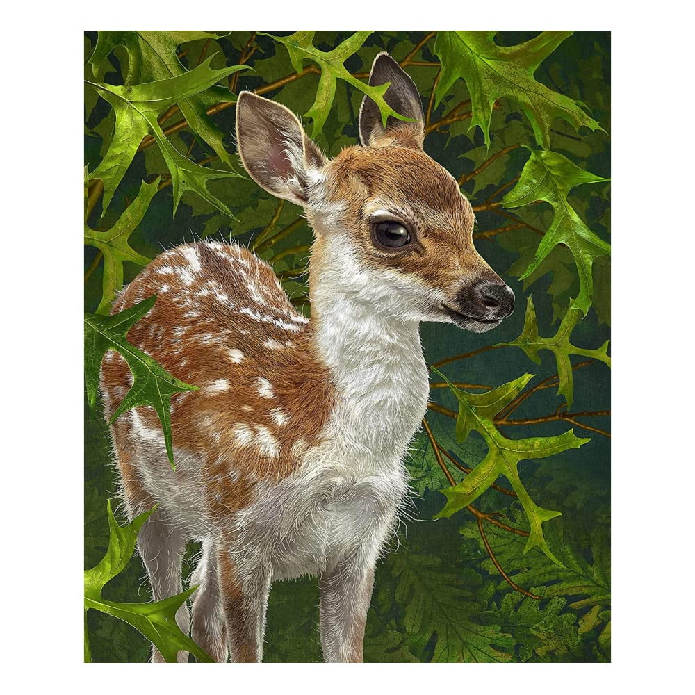 Dawhud Direct Forest Fawn Fleece Blanket for Bed 50 x 60 Cute Fleece Throw Blanket for Women Men and Kids Super Soft Plush Deer Blanket Throw