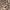Animal Taupe, variant on Women's Casual Loose Fit Side Pockets Solid Soft Lightweight Long Cardigan