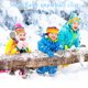 thumbnail image 1 of Forma de copo de nieve Clip de bola de nieve Plástico con mango Juguetes de deportes de invierno (Blanco), 1 of 6