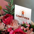 thumbnail image 3 of 3drose, Campfires Songs Cooking Friends Dont Want It to End Summer Fun, 12 Greeting Cards with Envelopes, 3 of 7