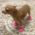 thumbnail image 5 of SSBSM 4Pcs/Set Pet Dog Puppy Non-Slip Soft Shoes Covers Rain Boots Footwear - for Home Protection, 5 of 8