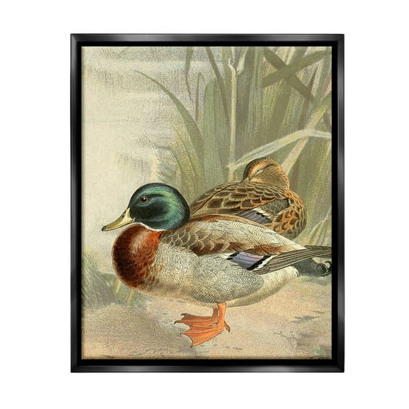 Stupell Industries Pond Ducks Relaxing Animals & Insects Painting Black Floater Framed Canvas Art Print Wall Art, 17 x 21
