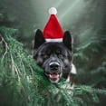 thumbnail image 4 of Sombrero ajustable para perros y gatos Traje de punto suave para fiestas navideñas, fotos y disfraces, 4 of 7