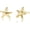 Stud Starfish-Gold, variant on Earrings For Women 14K Gold/18 White Gold Plated Hypoallergenic 925 Sterling Silver Stud Trendy Minimalist Style For Formal Everyday Prom Bridal Bridal Wedding[e7773]