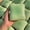 Green-1pcs, variant on Moocorvic Bread Butter Toys 1PCS, Slow Rising Ball, Stocking Stuffers Stress Balls, Stress Relief & Fidget Toys for Party Favor Gift