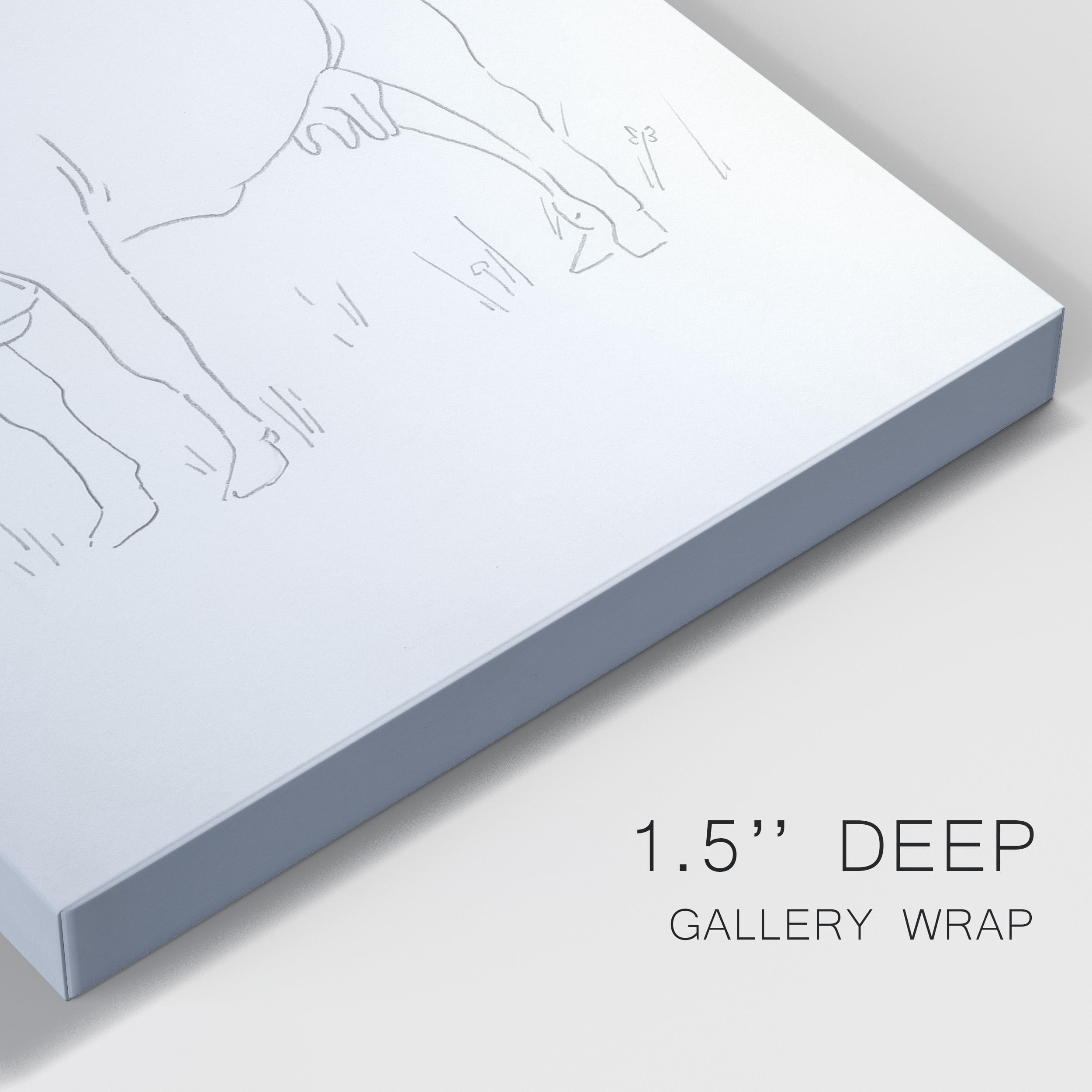 Limousin Cattle II Premium Gallery Wrapped Canvas - Ready to Hang