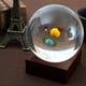 thumbnail image 2 of de 3,15 Pulgadas Y de Cristal Lunar Modelo Astronómico Juguetes Educativos de Aprendizaje Escolar para Niños Estudiantes perfke Bola de cristal transparente de 80 mm, 2 of 9