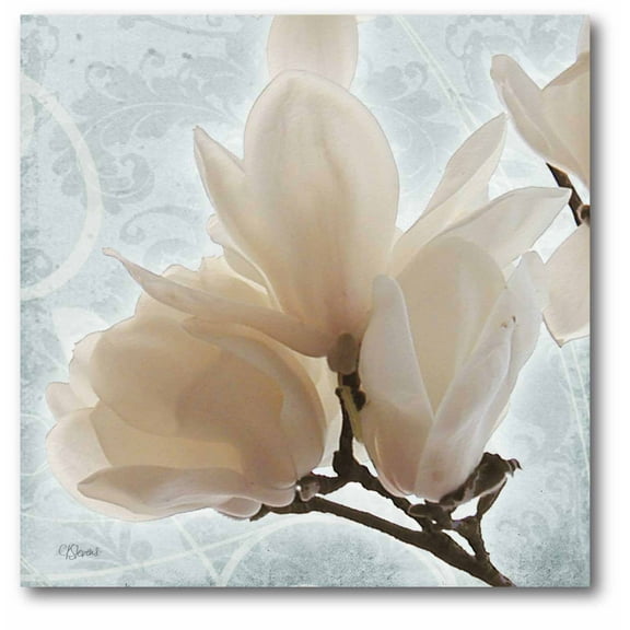 Magnolia Blue II Gallery-Wrapped Canvas Wall Art, 16x16