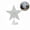 Silver, variant on TERGAYEE Christmas Star Tree Topper,Christmas Tree Topper LED Lights Star Treetop Battery Operated,Lighted Star Tree Topper for Christmas Tree Decorations