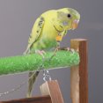 thumbnail image 1 of CBFFDC Rust-resistant Parrot Collar Smooth Bird Training Chain Bird friendly Bite Resistant Free Peony Flying Training Pet Supply, 1 of 6