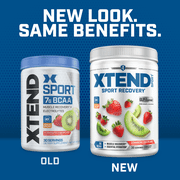XTEND Sport BCAA Powder, Sugar Free Post Workout Muscle Recovery Drink with Amino Acids and 7g BCAAs, Strawberry Kiwi Splash Flavor, 30 Servings