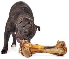 EcoKind Dog Bone Giant Femur Bone for Dogs | 1 Bone | Long Lasting Mammoth Dog Bones for Aggressive Chewers, Rawhide Free Healthy Dog Treat, Large Bones, Digestible Dog Chews