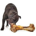thumbnail image 6 of EcoKind Dog Bone Giant Femur Bone for Dogs | 1 Bone | Long Lasting Mammoth Dog Bones for Aggressive Chewers, Rawhide Free Healthy Dog Treat, Large Bones, Digestible Dog Chews, 6 of 6