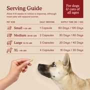 Fera Pets Cardiac Support - Cat & Dog Heart Supplement - With Taurine, L-Carnitine, CoQ10 - 60 Capsules