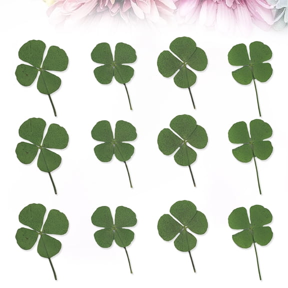 FONWILYO Green Dried Clover for Handmade Jewelry and DIY Decorations 12Pcs
