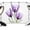 Purple Green, variant on Pink Tulip Backdrop for Photography,Fabric Photo Background Backdrop,Modern Blossom Pastel White Floral Petal Photo Booth Background for Portrait Photoshoot Video Wedding Decoration Banner 7x5ft