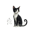 thumbnail image 5 of Trendy Cat Stickers Stickers, Waterproof Cat Stickers Sticker for Water Bottle Laptop Phone Cases Planner Skateboard Luggage Helmet Party Favor Decor, Ideal for Adults Teens Teacher Rewards, 5 of 9