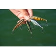 thumbnail image 7 of Berkley Flicker Shad Fishing Lure, Pearl White, 1/8 oz, 7 of 7
