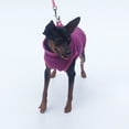 thumbnail image 2 of Ropa para mascotas, ropa para perros, cuello alto, tapeta de terciopelo (sin mangas), forro polar ligero, 2 of 6