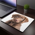thumbnail image 3 of DistinctInk Mouse Pad - 1/4" Foam Rubber - Chesapeake Bay Retriever Puppy, 3 of 4