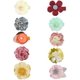 thumbnail image 1 of Pinzas para el cabello con pequeñas flores de margaritas para niñas pequeñas, pasadores florales para bebés recién nacidos y niños pequeños, 10 piezas, 1 of 7