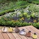 thumbnail image 5 of Juego de 6 estatuas de jardín urraca pájaros decoración adornos simulación para amantes de la jardinería Premium lindo surtido miniatura regalo de ina Baoblaze estatuas de aves, 5 of 8