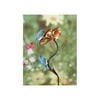 The Encore Group Flower Bluebird Stake (Set of 2)