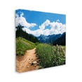 thumbnail image 3 of Stupell Industries Mountain Field Nature Path Photograph Gallery Wrapped Canvas Print Wall Art, Design by Anna Coppel, 3 of 7
