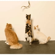 Cat Dancer 301 Cat Charmer لعبة القط التفاعلية RAINBOW