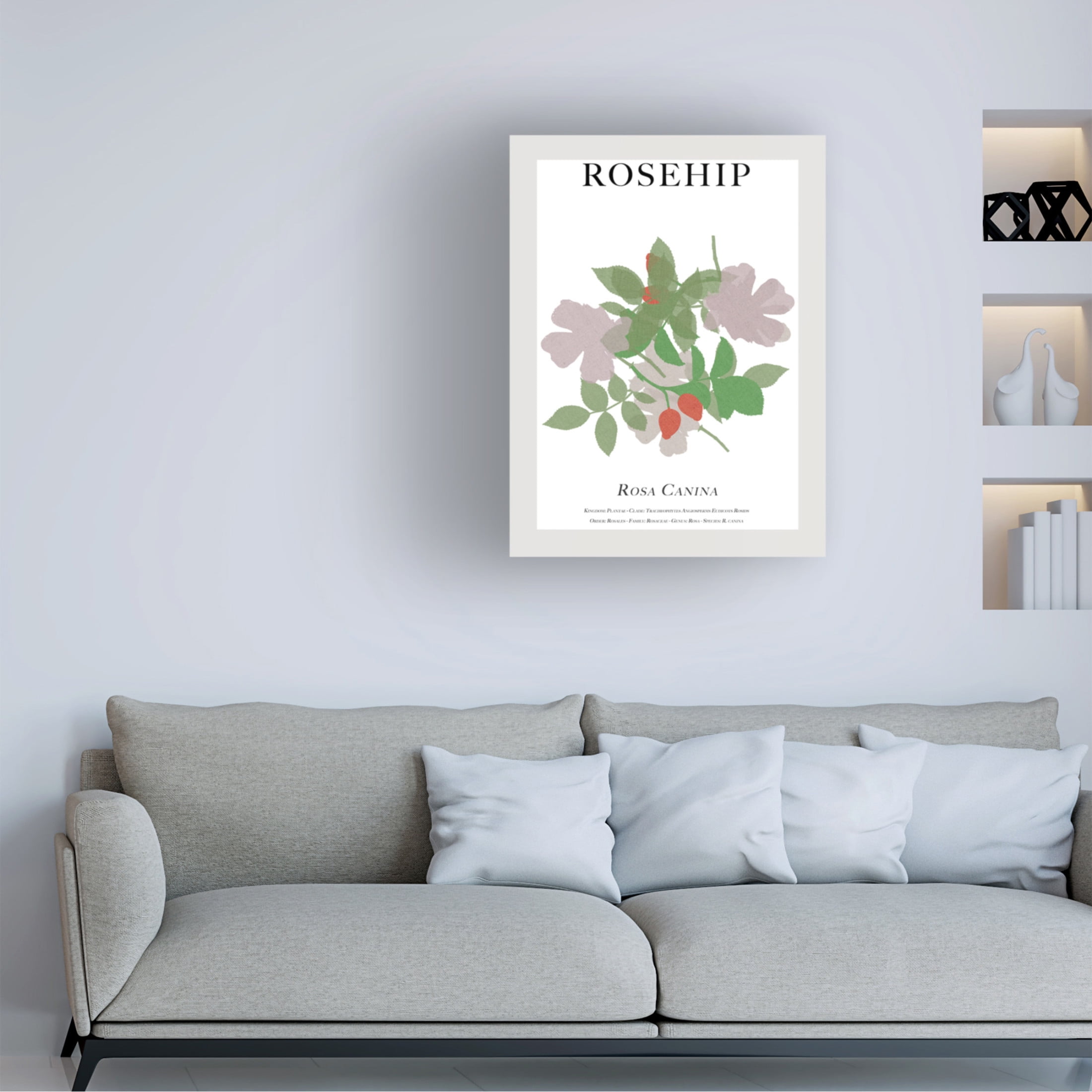 Trademark Fine Art Cartissi Rosehip Canvas Wall Art