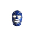 thumbnail image 1 of Mascara de Luchador HR Azul con Plata Deportes Martinez Mascara de Luchador HR Azul con Plata, 1 of 1