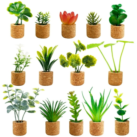 Plant Fridge Magnet, 14PCS Plastic Cute Refrigerator Magnet, Miniature Succulent Home Decor for Adults Kids