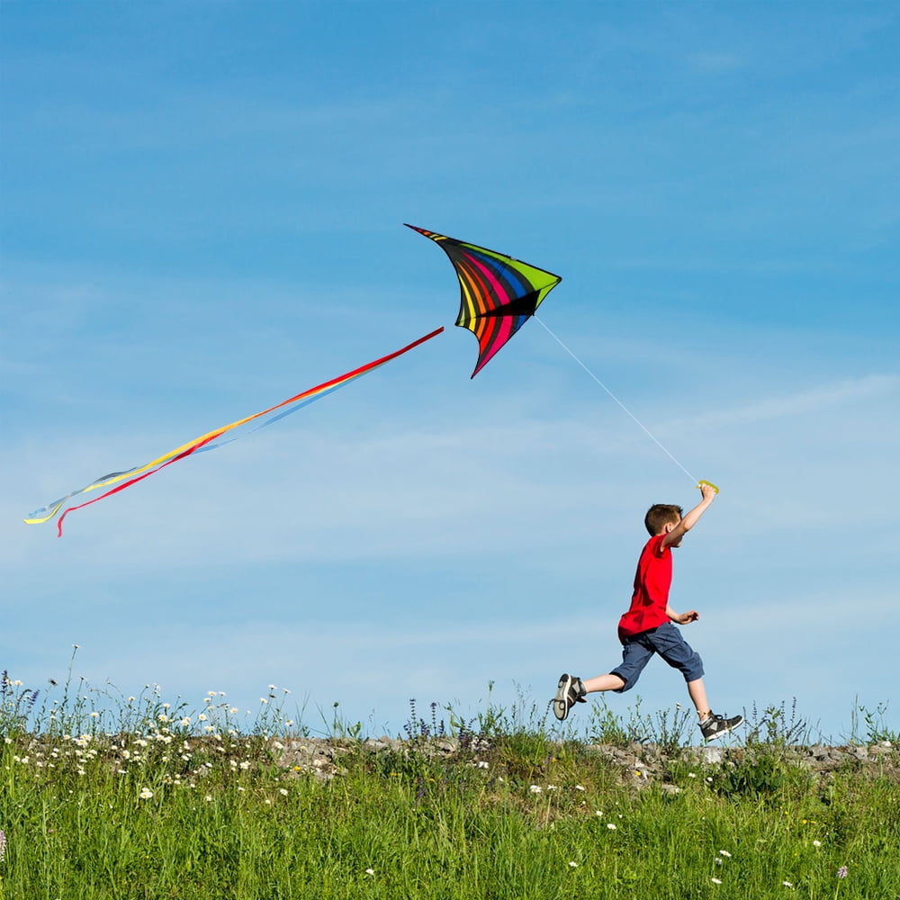 Mint's Colorful Life Delta Kite for Kids & Adults, Polyester Material,  Extremely Easy to Fly 