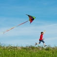 thumbnail image 7 of Mint's Colorful Life Delta Kite for Kids & Adults, Polyester Material, Extremely Easy to Fly, 7 of 7
