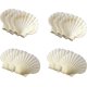 thumbnail image 2 of Maine Man Baking Shells, 3.25 Inch, Set Of 12, Natural Seashell(limited Edition), 2 of 3