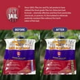 thumbnail image 4 of FLY JAIL Large Bags Disposable Outdoor Fly Trap Pre-Baited High-Capacity Fly Catcher(3 Pack), 4 of 8